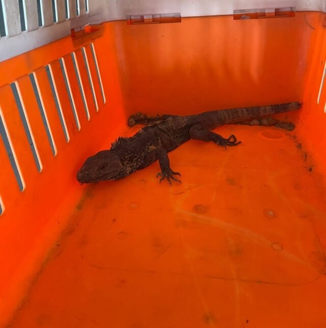 6237a8a0685c4__6237a8a0685c8