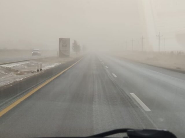 WhatsApp Image 2022-03-14 at 11.57.29 AM