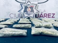 Detienen a hombre en posesión de marihuana