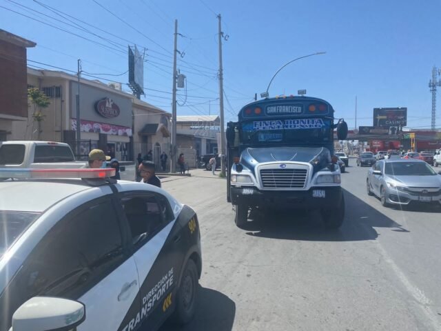 091cf3f3-432d-45cb-964d-49204d0b912a