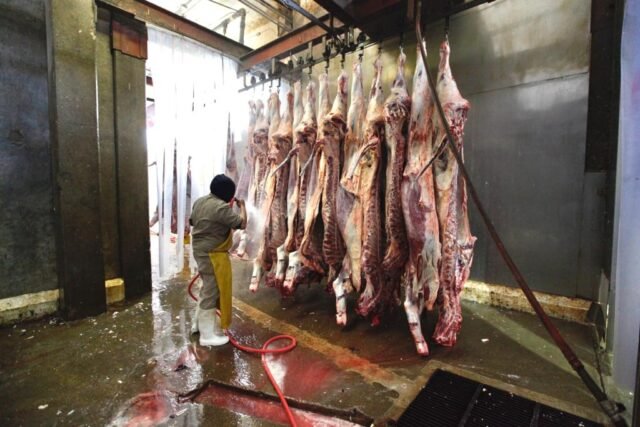 627055757b50e__627055757b511