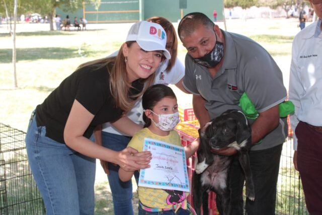 62815b58cb2f7__62815b58cb2f9