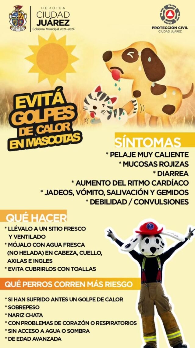 62a0d73f2a13f__62a0d73f2a142