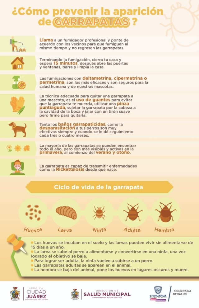 62bdcc4598271__62bdcc4598273