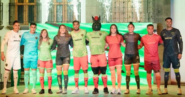 956E6B12-F25D-48BE-A53E-DA176E19C2C6