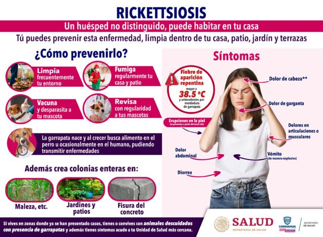 Rickettsiosis. Síntomas y recomendaciones