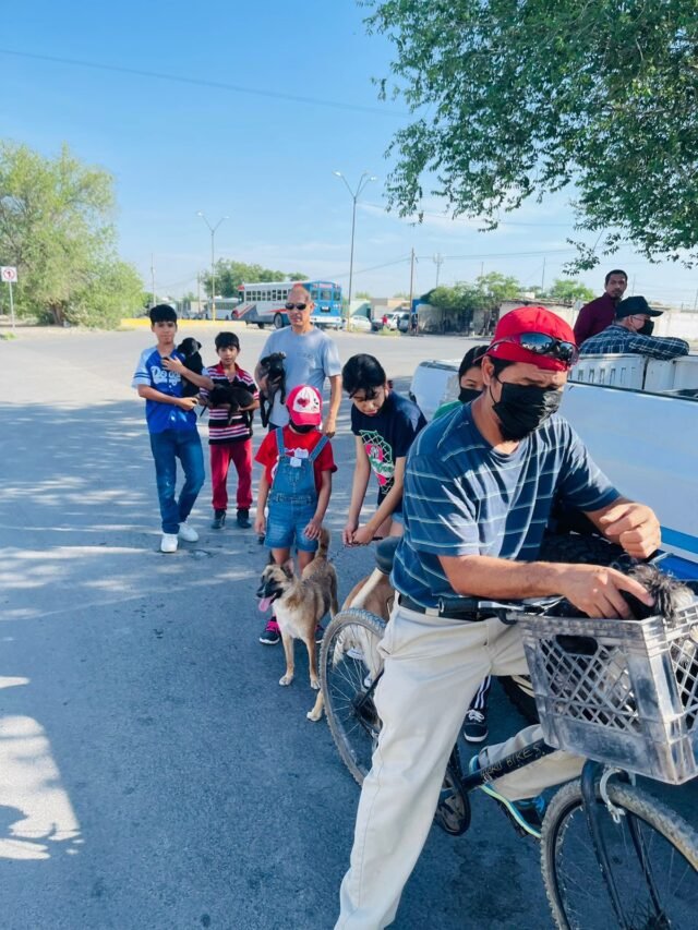 62deff19ac335__62deff19ac338