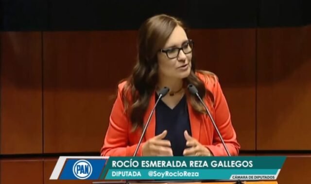 DIPUTADA ROCIO REZA GALLEGOS