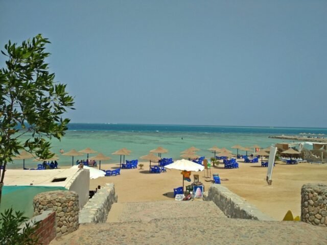 WhatsApp Image 2022-07-03 at 8.13.14 PM (1)