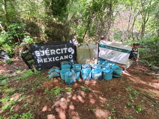 WhatsApp Image 2022-07-24 at 10.02.56 PM