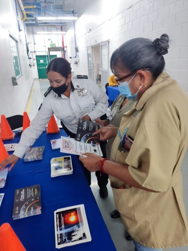 630681adf28e0__630681adf28e2