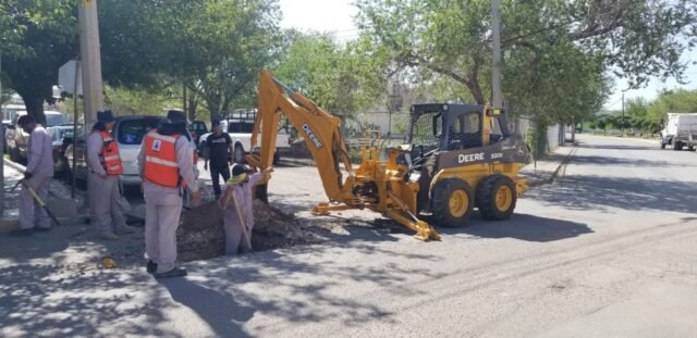 WhatsApp Image 2022-08-03 at 8.38.37 PM