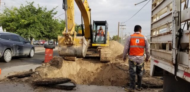 WhatsApp Image 2022-08-24 at 8.30.42 PM