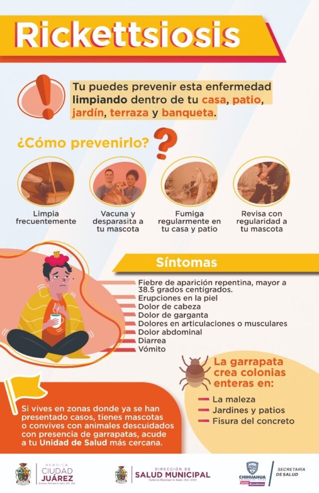 63111a340e0eb__63111a340e0ee