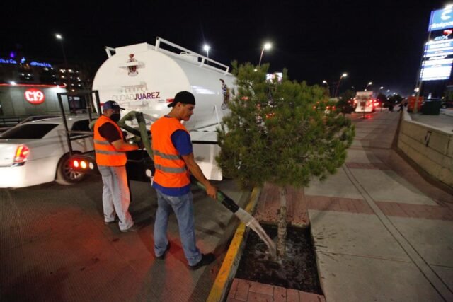 631a16400e004__631a16400e006