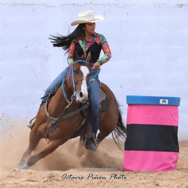 63337c691a412__63337c691a416