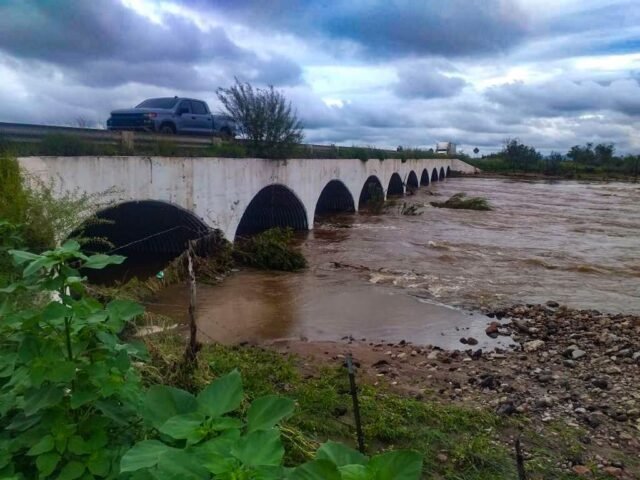 WhatsApp Image 2022-09-06 at 8.31.48 PM