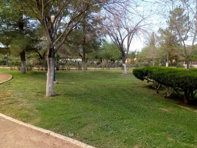 WhatsApp Image 2022-09-21 at 8.45.50 PM