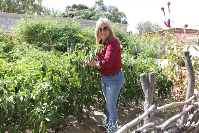 636165963b460__636165963b462