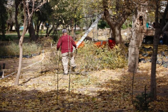 6387bc5e8fb43__6387bc5e8fb45