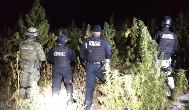 B4E29E26-BE86-44D1-8752-56E2B62A727D