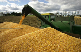 Logran exportaciones bolivianas de soja y carne cifras récord