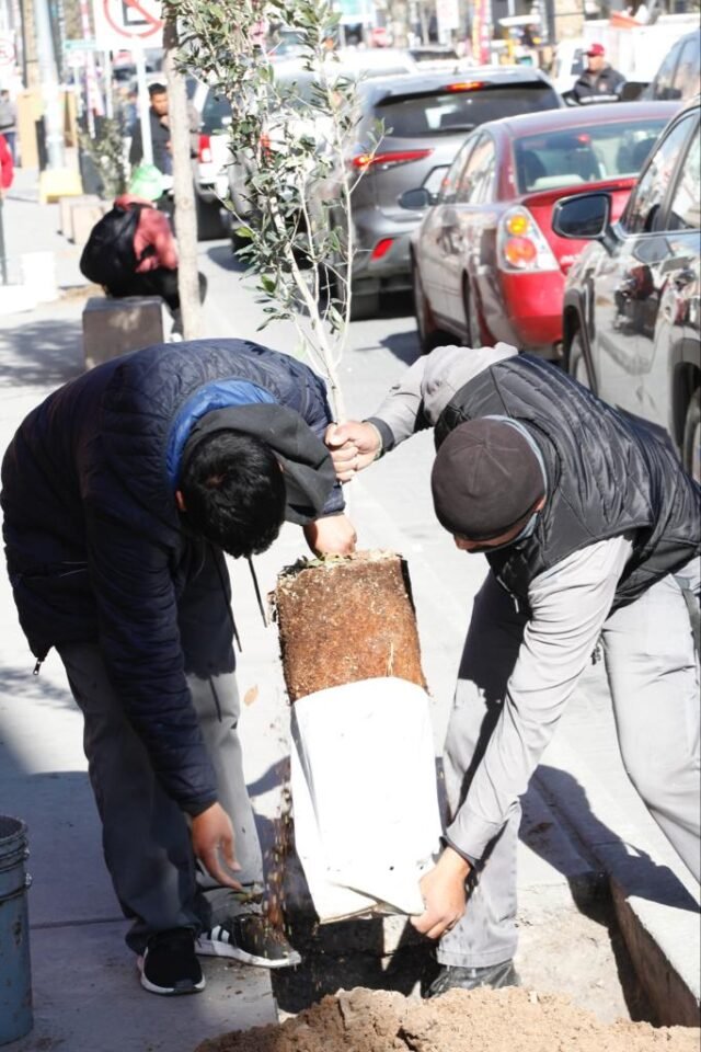 39AF89DA-8855-4C54-9D31-3ADAB15F049C