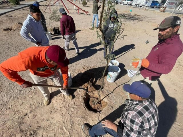 B68829D4-6E30-4C66-8D90-B433B7DB2C6A