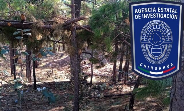 F6FE3008-5D58-4D96-8344-8AC0CB5A5101