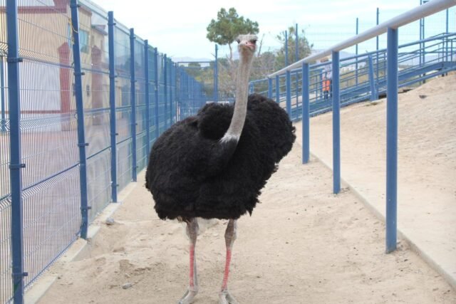 13EAF618-7459-443F-B956-67B2F1EEAF97