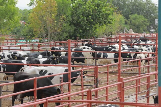 63bf215351793__63bf215351794