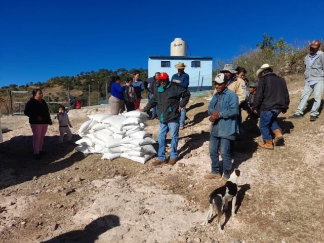 WhatsApp Image 2023-01-05 at 09.19.03