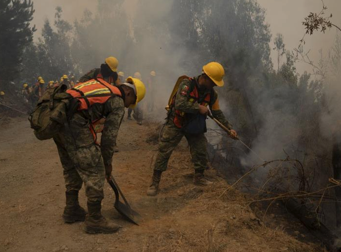 Incendios forestales en Chile consumen 425 mil hectáreas