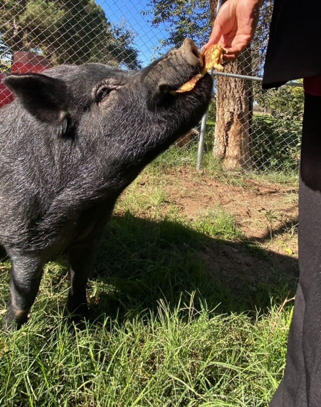 63f4f61aa8a30__63f4f61aa8a31