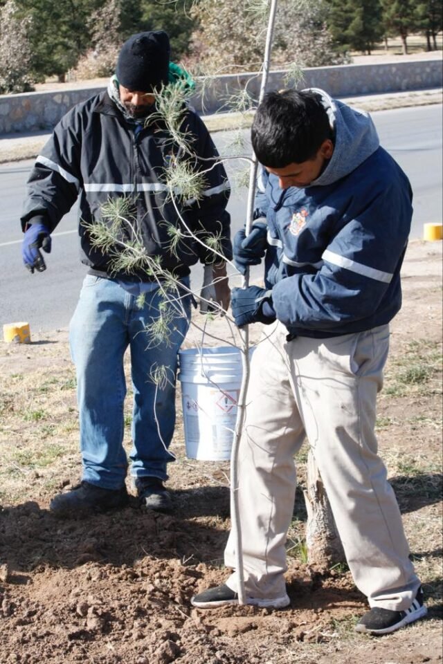 63f5106789698__63f5106789699