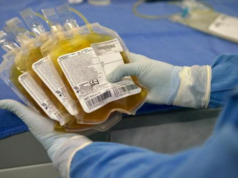 Nace Plasma que Salva, alianza independiente que fomenta la donación de plasma