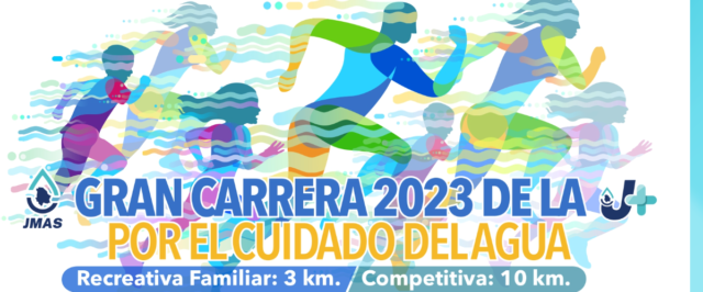descarga