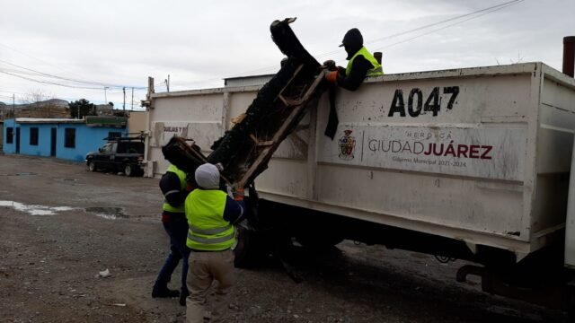 6400edb45c5a6__6400edb45c5a8