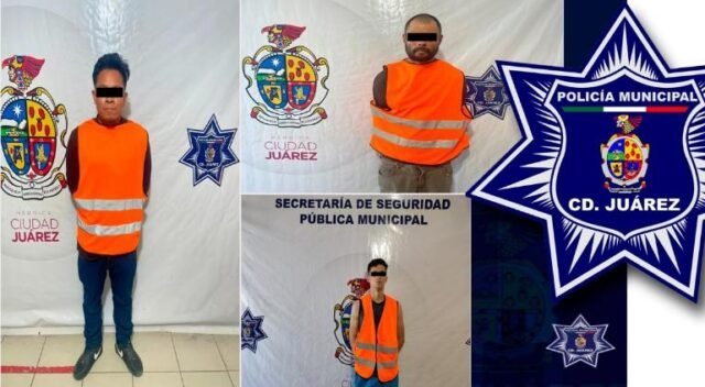 principal_descarga-81