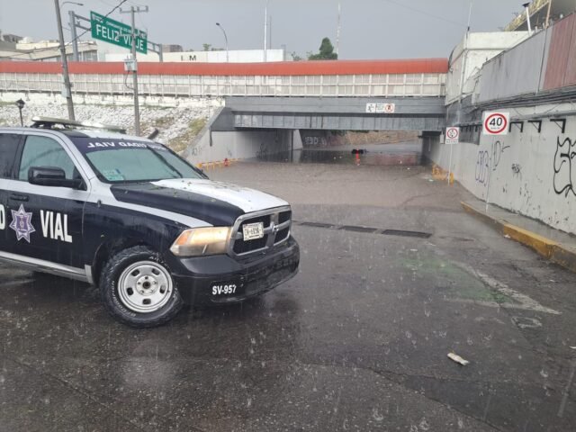 bd0e6d26-2e5b-4363-8786-c7e32dac5d5d