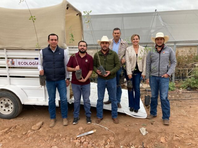 65565f453cee2__65565f453cee3