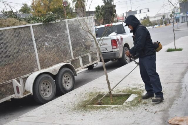 65566f8a46aa8__65566f8a46aa9