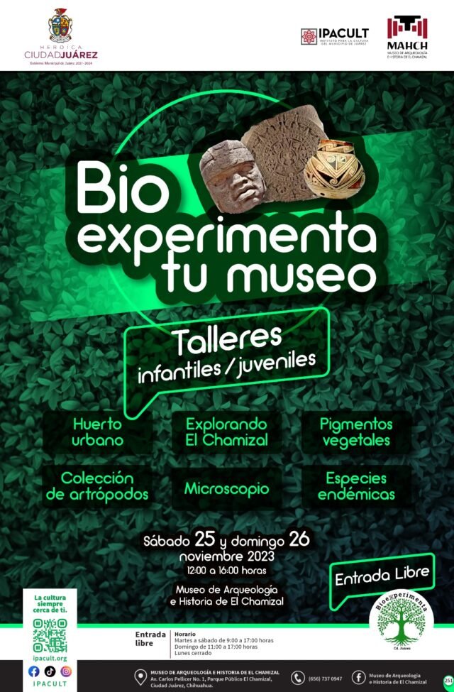 655f8808571c2__655f8808571c3-1