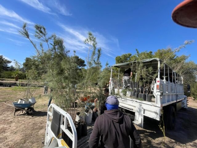 656620246f485__656620246f486