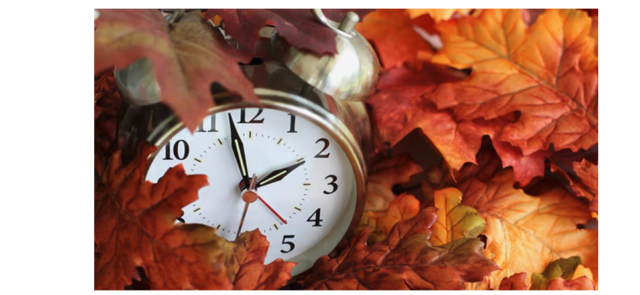 Captura-de-pantalla-2023-11-02-a-las-09.20.35