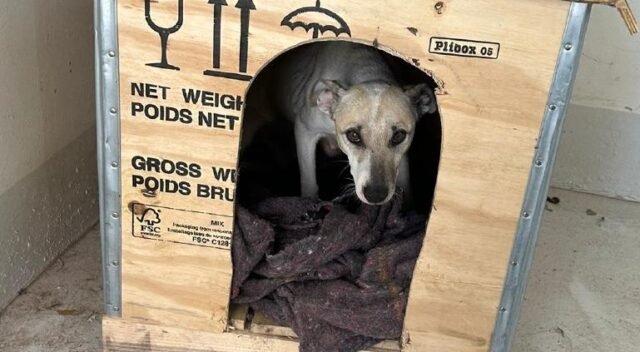 principal_0da3811d-7930-4cac-99fe-f6a4a8186744-1