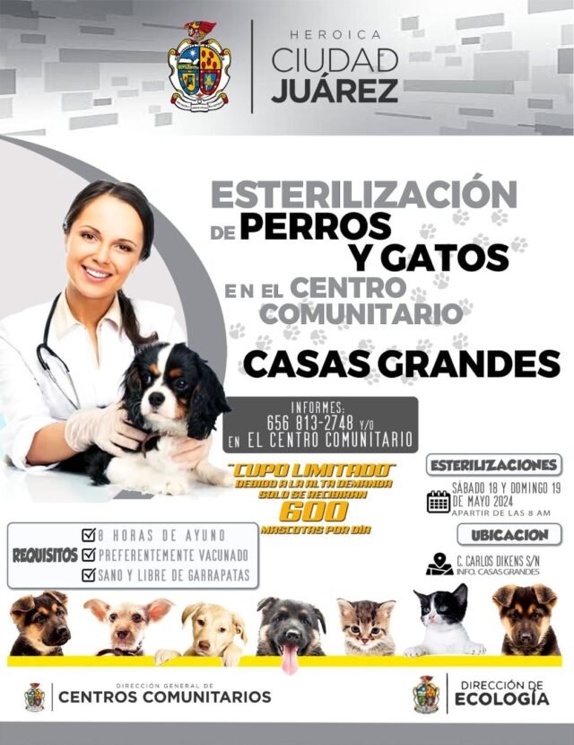 6647a7c906ae2__6647a7c906ae3