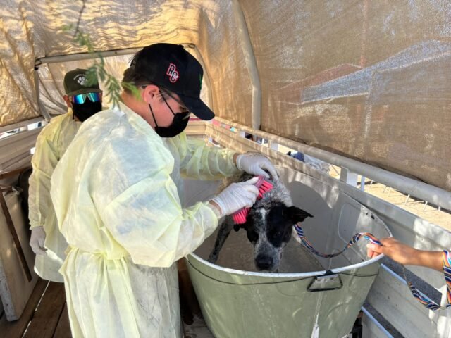 66883906d638e__66883906d6390