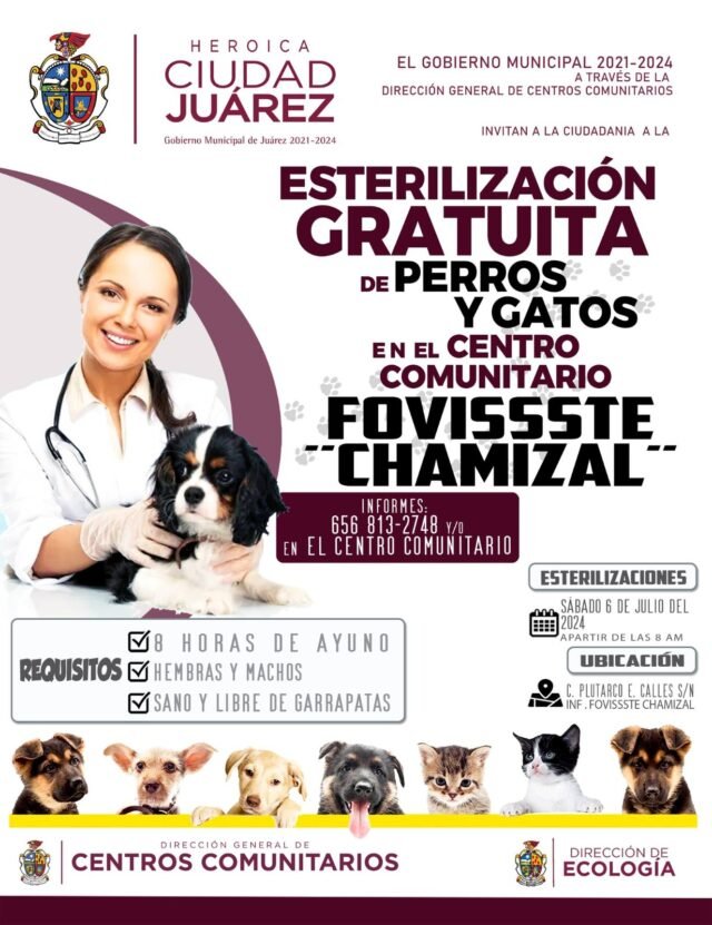 668848670530c__668848670530e