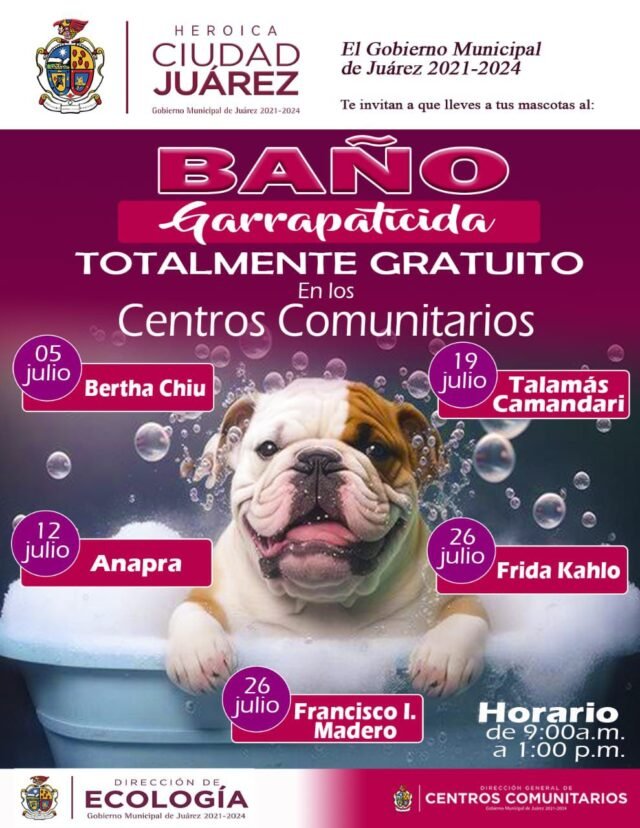 668c3631004ab__668c3631004ac